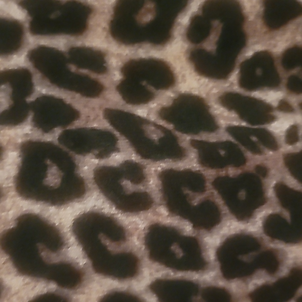 Torrid Leopard Long Sleeve Raglan Sweatshirt Size 1/14 - Picture 5 of 8